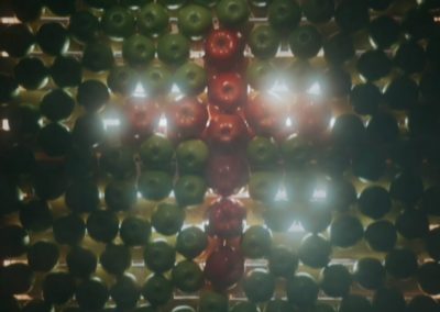 bilderstanze_bio_00002 bilderstanze_bio